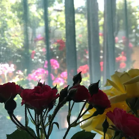 בית הארחה Black Sea House 3*