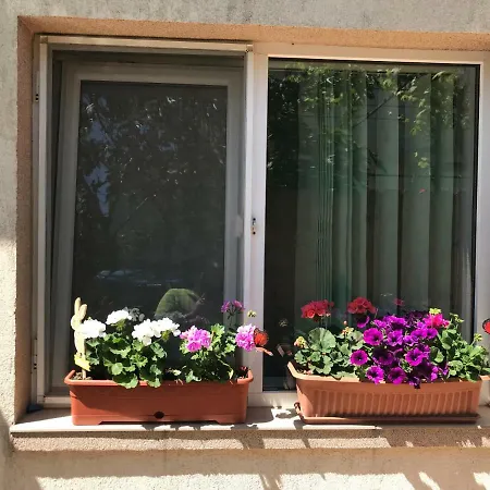 Black Sea House Gasthof 3*