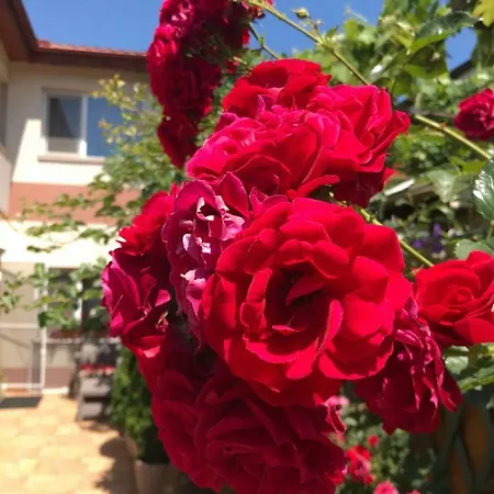 Black Sea House 3*